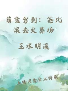 萌宝驾到：爸比滚去火葬场